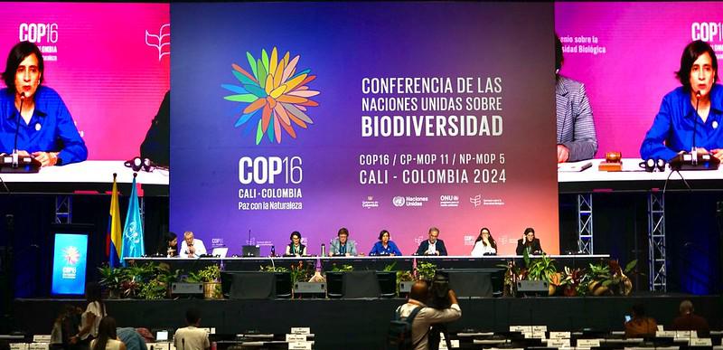 $!Trabajos en la COP16.