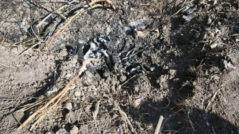 El hallazgo se dio en un camino de terracería en las cercanías del pueblo de El Alhuate.