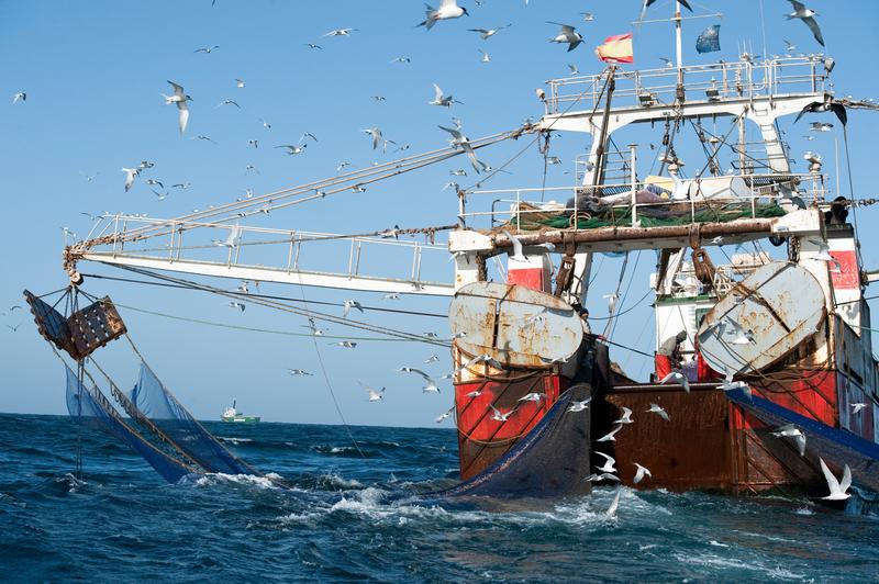 $!Un arrastrero español pescando cerca de la costa argentina.