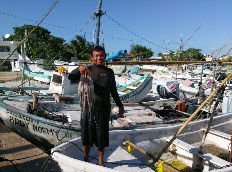 $!Pescador de pulpo de Yucatán.