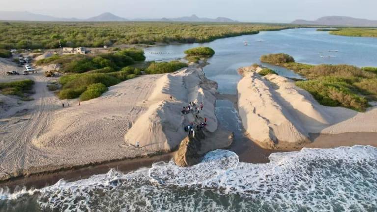 Autoridades abanderan apertura de bocas en el Huizache-Caimanero