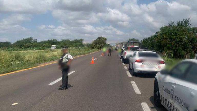 Los hechos se dieron en el kilómetro 166, en el carril de sur a norte, a la altura de la sindicatura de Quilá.