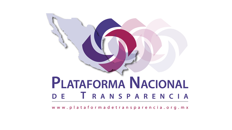 Artículo 19 busca resguardar y respaldar la información pública de la Plataforma Nacional de Transparencia