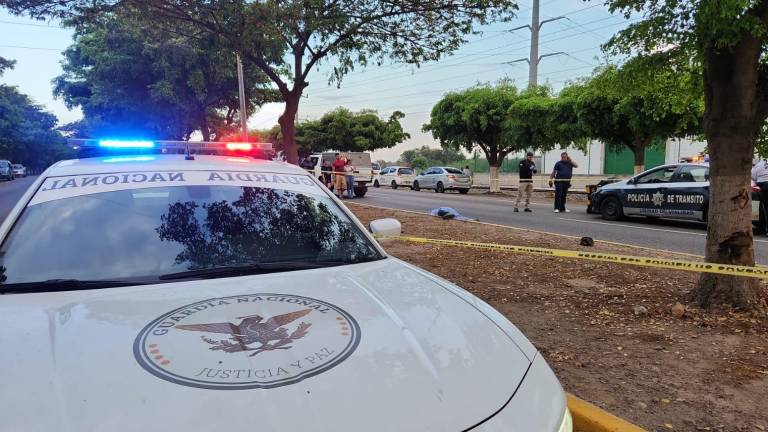 El joven se subió al camellón y se impactó contra un árbol.