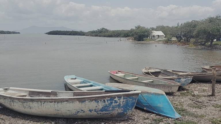 Ven pescadores en El Huizache-Caimanero un 40 por ciento de volumen de producción