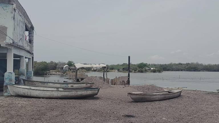 Pescadores de Rosario están a la espera de definir si se extenderá la veda del camarón