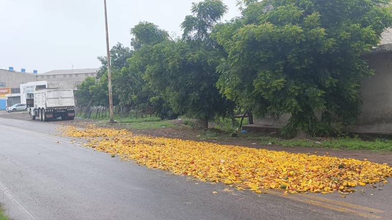 Destinan área para desechos de mango en el Basurón de Escuinapa