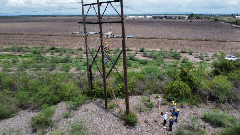 Personal de la CFE trabaja en el restablecimiento del servicio de energía eléctrica en Navolato.