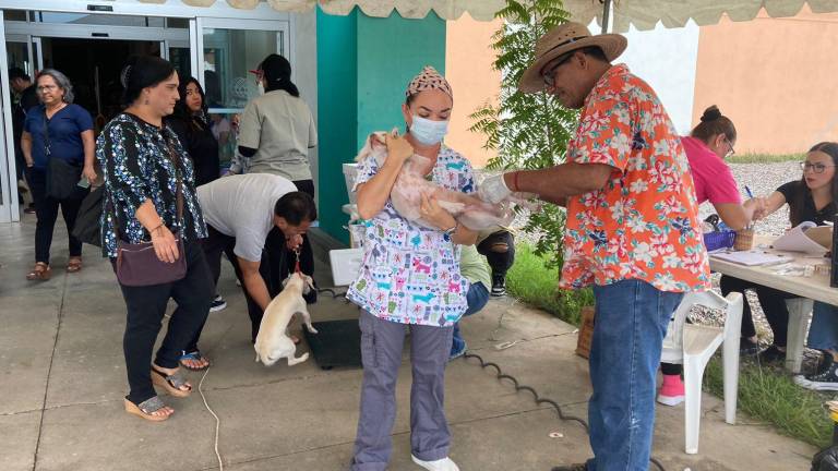 Desde temprana horas, propietarios responsables acudieron con sus mascotas a esterilizarlos y vacunarlos.