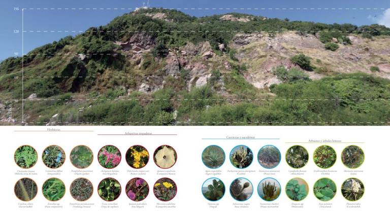 Los datos arrojados por las investigaciones fueron incluidos en el libro “Cerro del Crestón y Faro Mazatlán, publicado en diciembre del 2023.