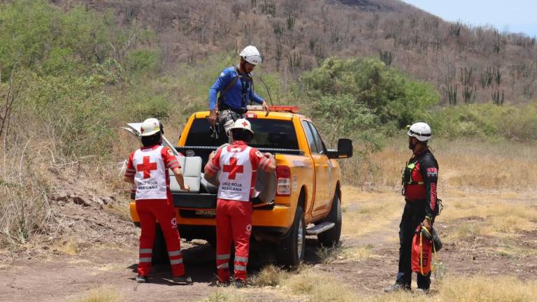 Al llegar al lugar, policías y paramédicos de Cruz Roja encontraron a las nueve personas con múltiples picaduras.
