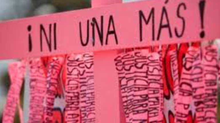 En Sinaloa hay 331 niñas y niños que perdieron a su madre por feminicidio