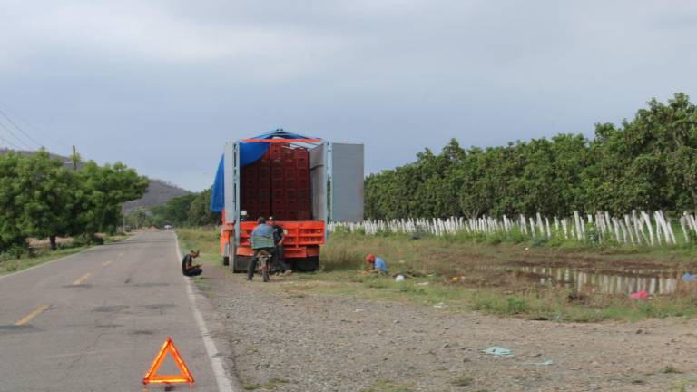 Los productores dijeron que se podrían ver afectados pues señalan que ahorita Nayarit todavía tiene mango, además de Jalisco y Chiapas.