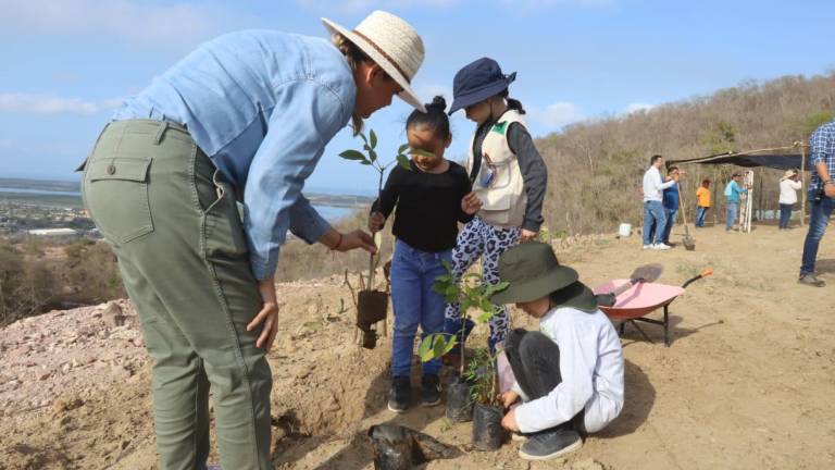 Se contempla plantar hasta 100 mil árboles en las celdas ya cerradas del Basurón Municipal de Mazatlán.