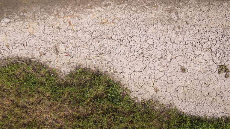 De acuerdo con el Banco de México, el sector agropecuario es el principal afectado de la sequía porque el agua representa un insumo fundamental para estas actividades.