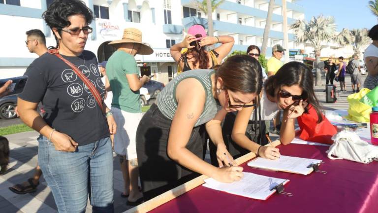 Miembros del Colectivo en Defensa del Faro convocaron a la ciudadanía a firmar un documento para solicitar que el Cerro del Crestón sea declarado Área Natural Protegida.