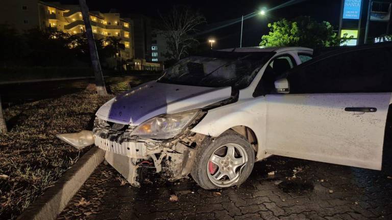 El auto invadió el camellón central y chocó contra una palmera y una luminaria.