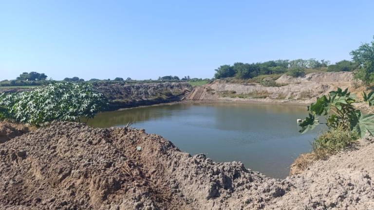 Productores de Escuinapa han optado por dar profundidad a los estanques para obtener agua para el ciclo agrícola.