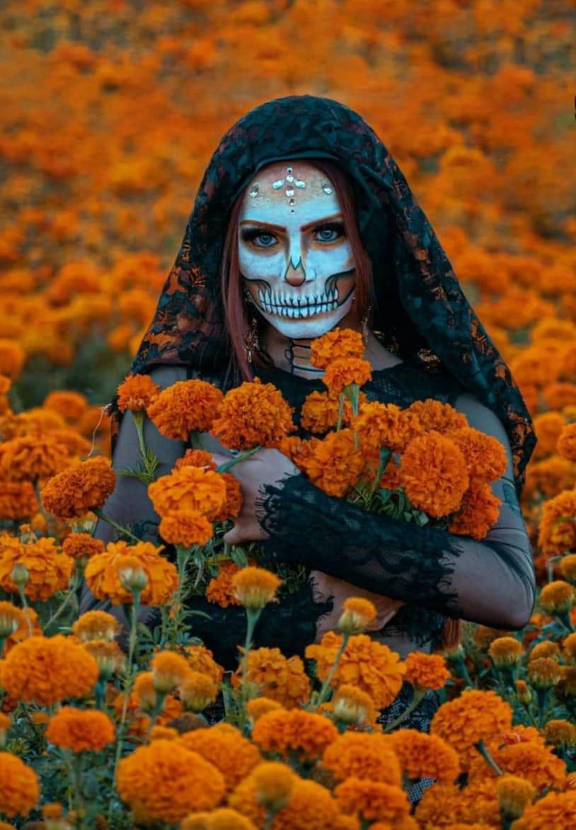 $!Día de Muertos: Qué es, cuál es su origen y cómo se celebra