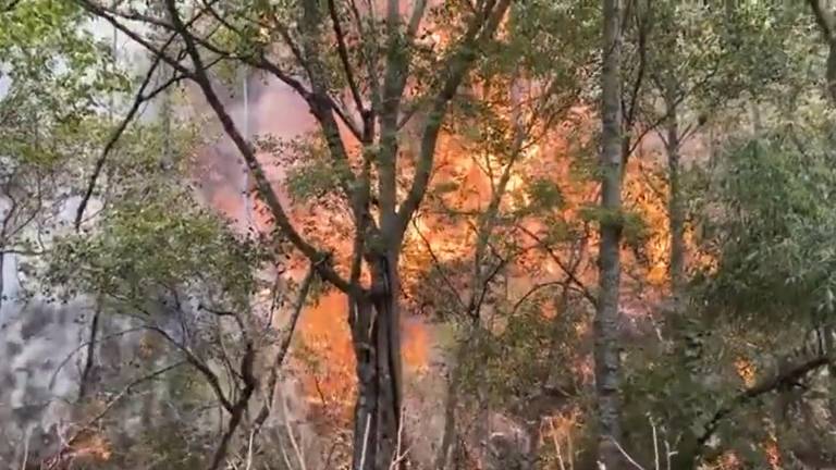 El incendio forestal en Oaxaca inició desde el pasado 3 de mayo.