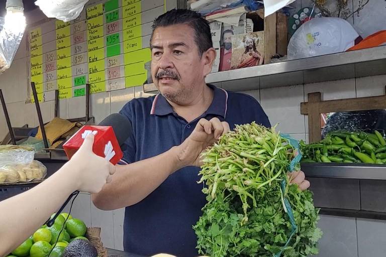 Sequía encarece cilantro y otros productos en Sinaloa; manojo cuesta hasta 70 pesos en Culiacán