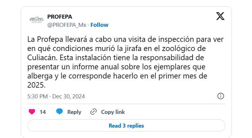 $!Profepa investigará muerte de la jirafa en el Zoológico de Culiacán