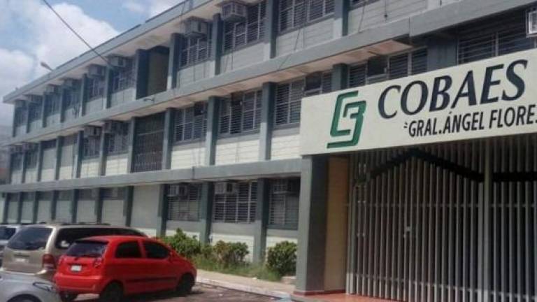 Siete licitaciones ha emitido el Colegio de Bachilleres del Estado de Sinaloa en lo que va del año.