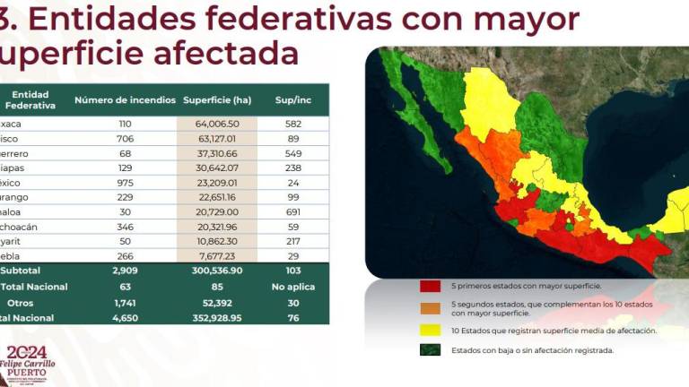 Informe sobre los incendios forestales en México, donde Sinaloa ocupa el lugar siete entre más superfice afectada.