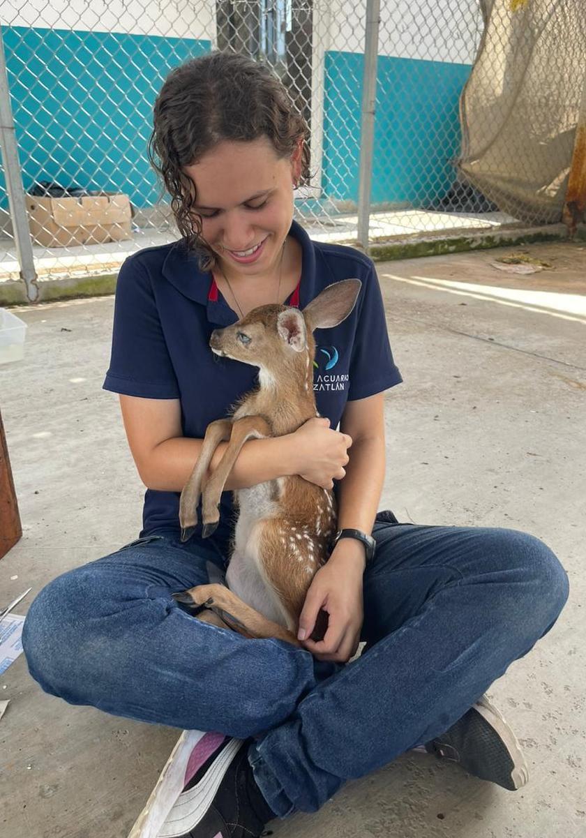 $!‘Bambina’, ciega y con labio leporino, cumple 3 meses en el en Gran Acuario Mazatlán