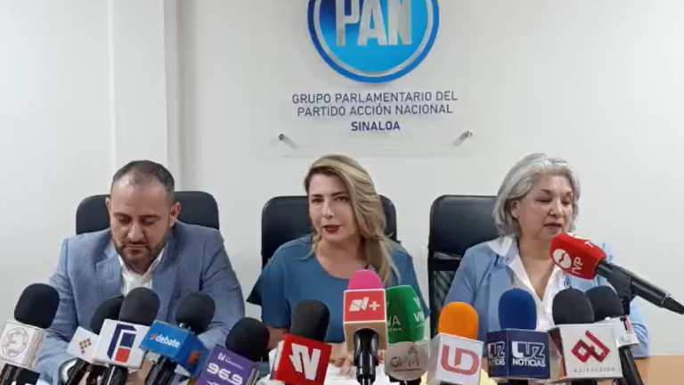 Roxana Rubio reportó que las elecciones internas en las que votaron por la dirigencia estatal y nacional se dio con saldo blanco.