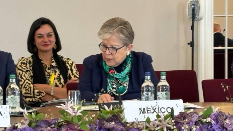 La delegación mexicana estuvo encabezada por Alicia Bárcena Ibarra, Secretaria de Relaciones Exteriores.