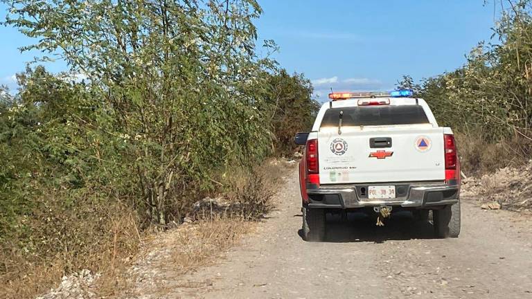 Una llamada al 911 alertó que había un tigre por la ribera del río Culiacán, cerca del puente de la zona.