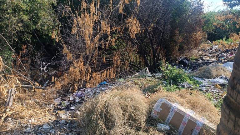 El Estero del Infiernillo y sus alrededores siguen siendo un lugar repleto de basura.