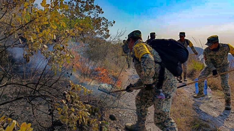 La Conafor también detalló que 21 áreas naturales protegidas se han visto afectadas por el fuego.