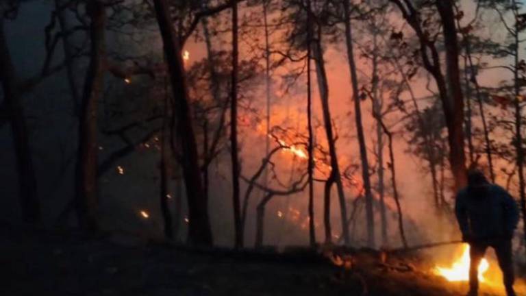 Uno de los siniestros activos se encuentra en la zona conocida como El Naranjo, Rosario, mientras que el otro tiene lugar en la Bacata, Cosalá.