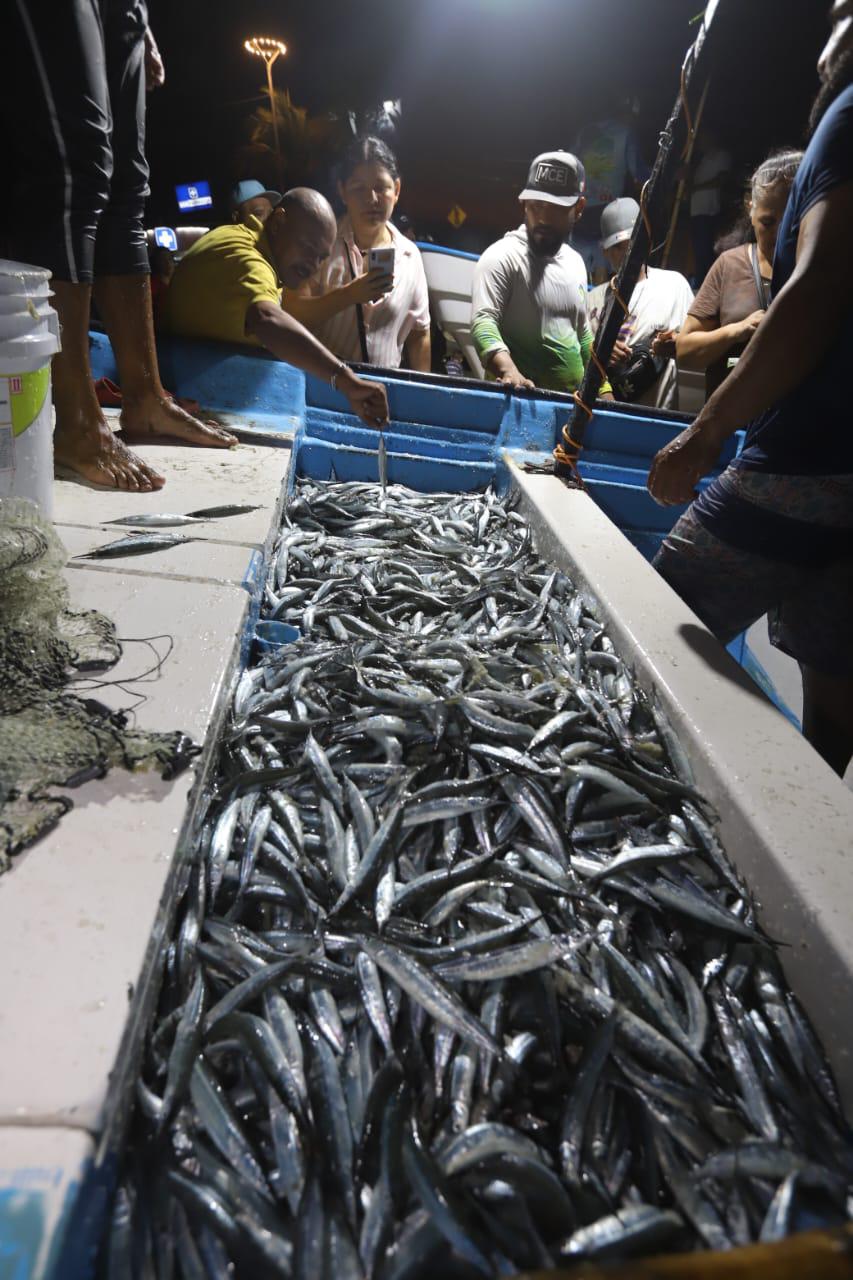 $!Regresa la pesca de pajaritos a Mazatlán