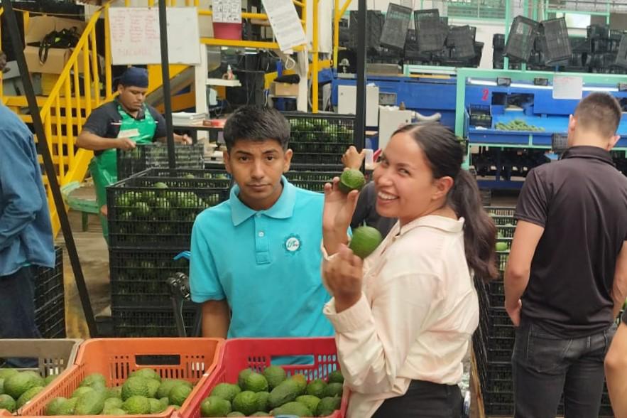 $!Diversas actividades realizan los estudiantes.