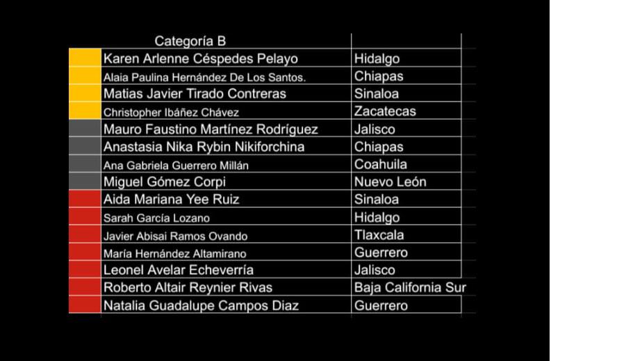 $!Matías prometió ganar y lo cumplió: logra oro en Olimpiada Nacional de Matemáticas