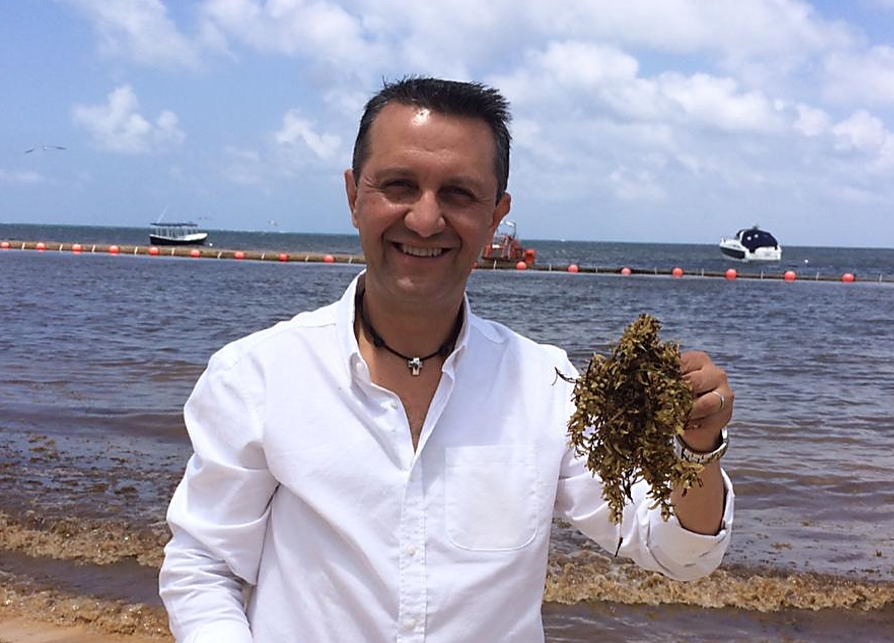 $!Héctor Romero Morales, de Dianco, sujeta un puñado de sargazo en una playa de Quintana Roo. La empresa utiliza el sargazo como materia prima para la producción de biofertilizantes.