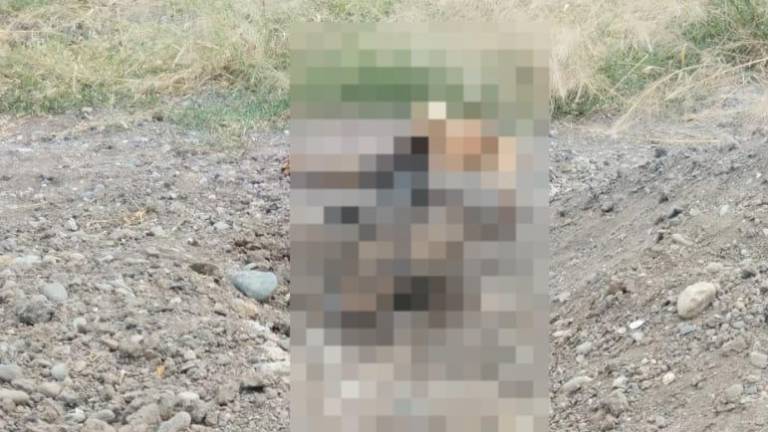 Fiscalía de Sinaloa reporta que el miércoles hubo 5 asesinatos, 15 robos de vehículo y 5 desapariciones