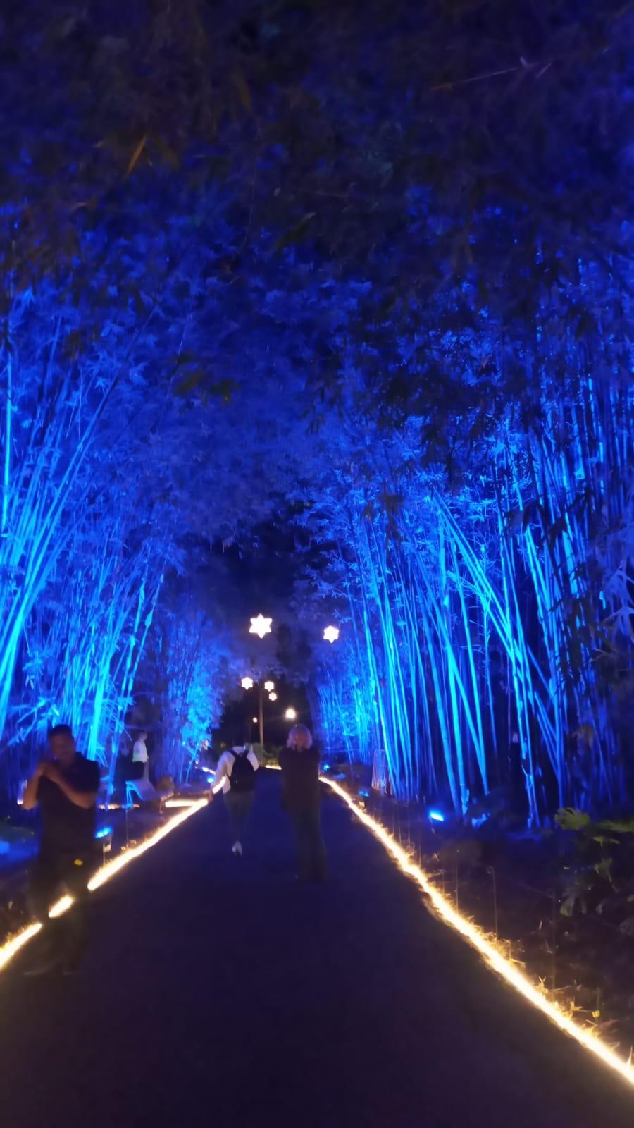 $!Llega la Navidad al Jardín Botánico de Culiacán