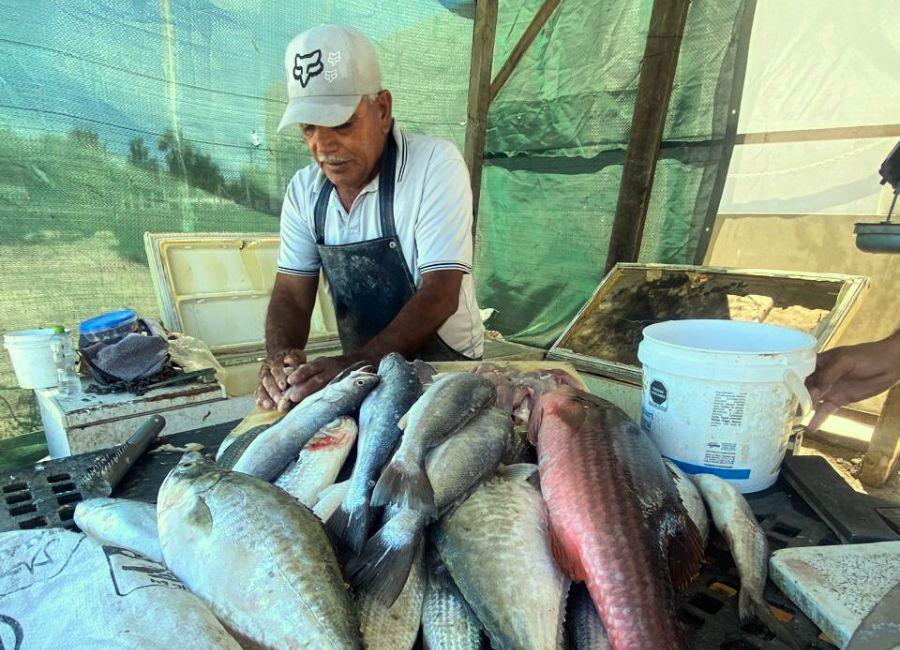 $!Monreal, pescador de El Manglito en la playa Los Jordanes.