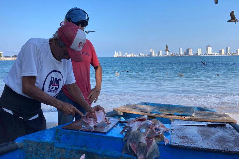 Vendedores de pescado en Mazatlán bajan sus precios ante la poca venta en los últimos meses