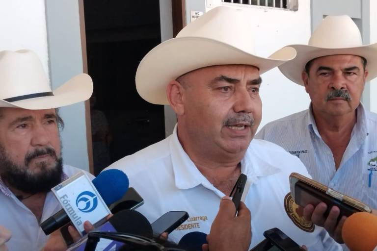 Ganaderos del sur de Sinaloa solo han vendido 3,500 reses por sequía, alertan