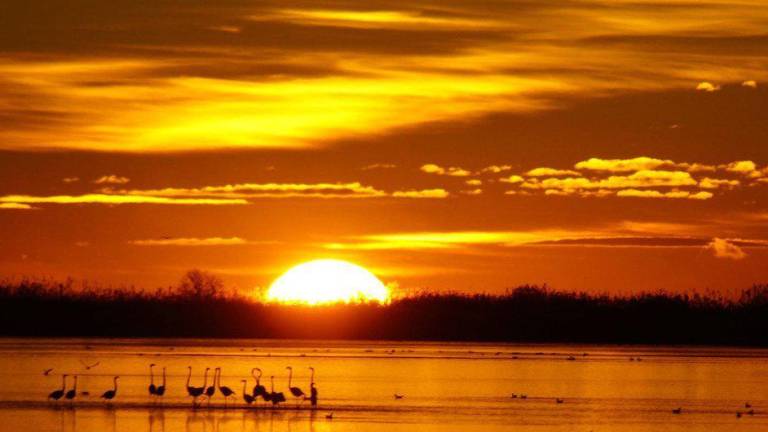 Amanecer en el Delta del Ebro, en Cataluña.