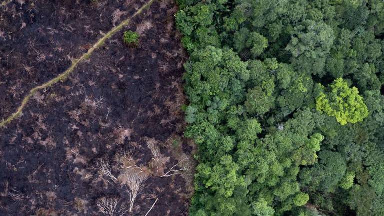 El cambio climático en la Corte Internacional: el mayor caso jamás presentado ante un tribunal mundial