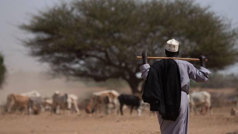 La región somalí de Etiopía se ha visto gravemente afectada por la sequía.