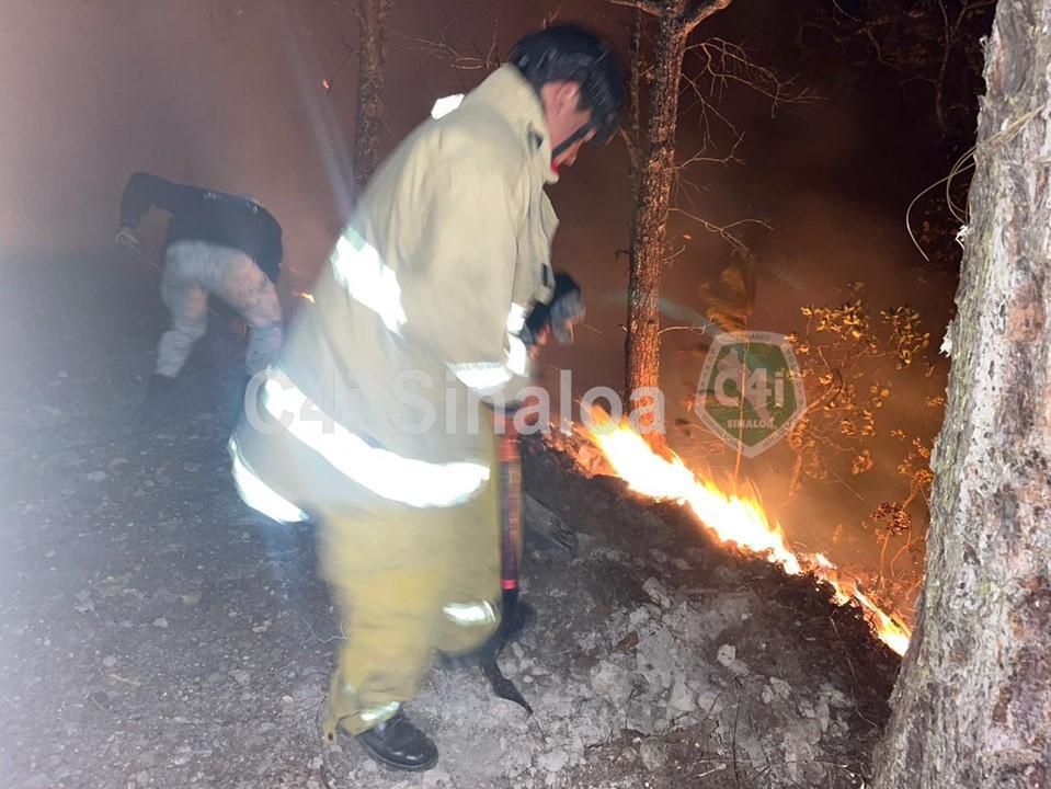 $!Incendio forestal en Concordia está controlado, pero no liquidado: Sebides