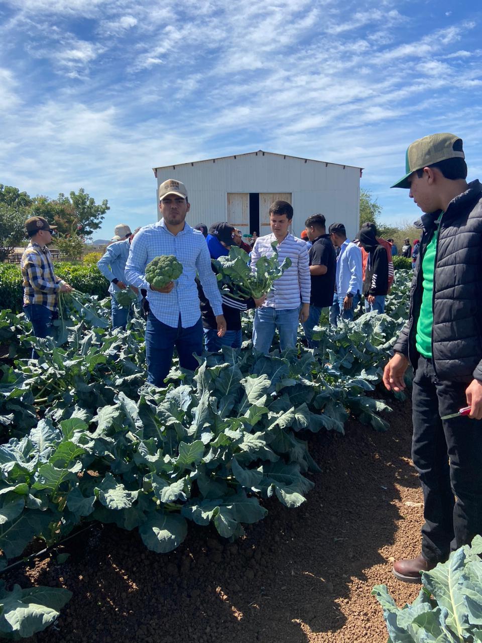 $!Estudiantes de Fruticultura ‘cosechan’ conocimientos de buenas prácticas agrícolas