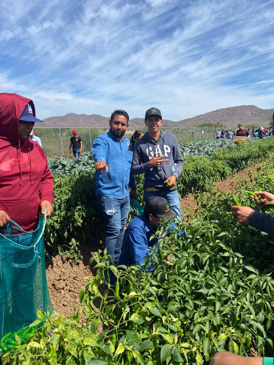 $!Estudiantes de Fruticultura ‘cosechan’ conocimientos de buenas prácticas agrícolas